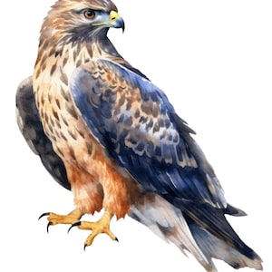 2X Car Sticker Eagle Sticker Set for Cars Motorcycles Laptops, Strong Design, Weatherproof Eagle Motif