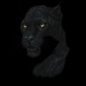 Pode incluir: Ilustração detalhada da cabeça e parte superior do corpo de uma pantera negra sobre um fundo preto. A pelagem da pantera é de um preto profundo e seus olhos são de um amarelo brilhante. A boca da pantera está ligeiramente aberta, revelando seus dentes.