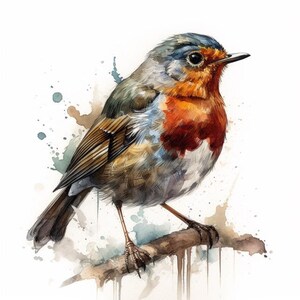 Robin sticker, Christmas bird sticker, winter bird motif, nature sticker, bird illustration, robin decoration, winter decoration