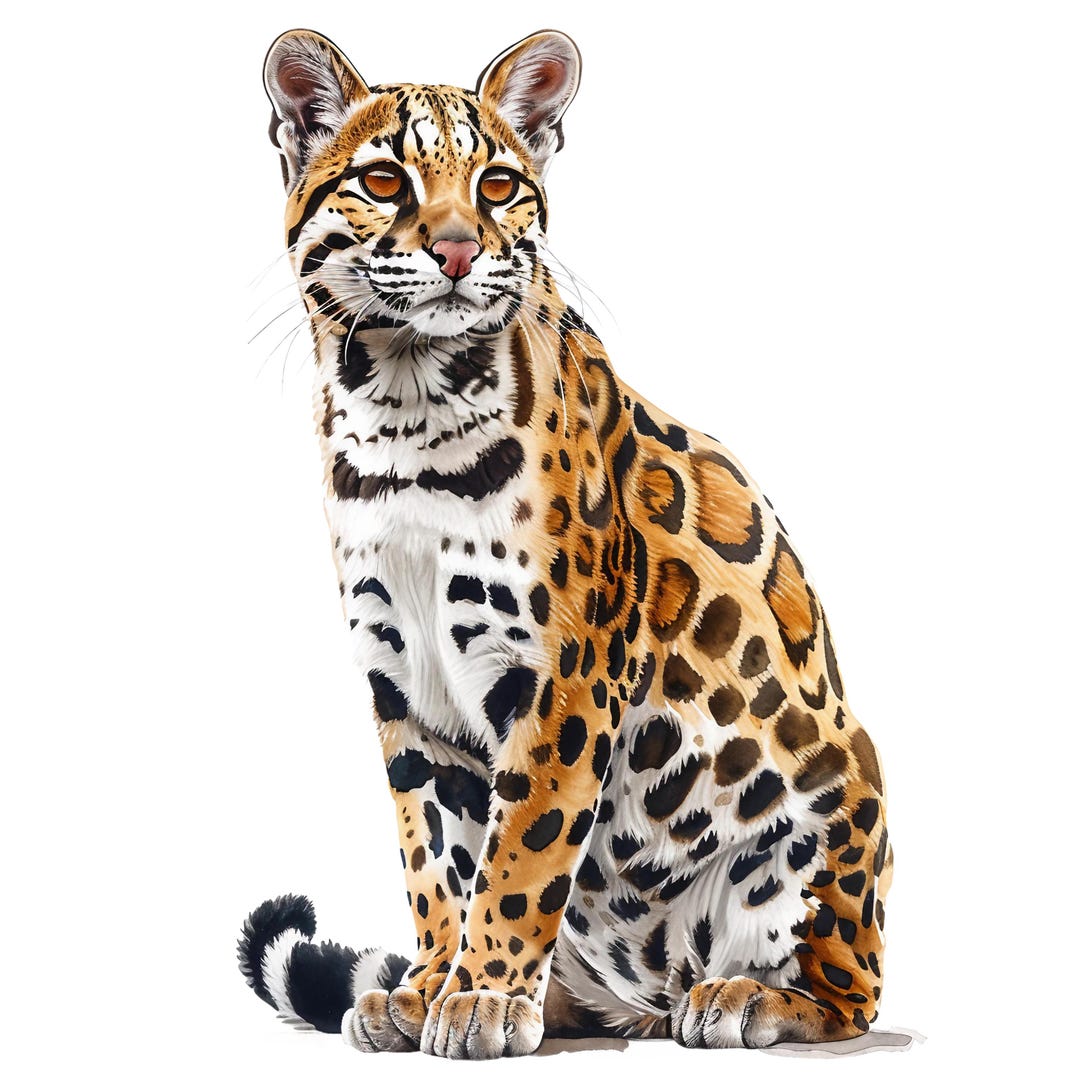 4X Ocelot Sticker Set, 4 Pieces, Watercolor Car Stickers, Wildcat ...