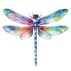 Mooie Dragonfly Sticker Klantgerichte Outdoor Vinyl Sticker