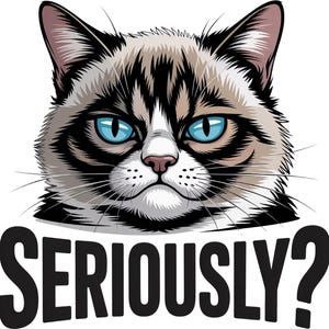Op de afbeelding: Een digitale illustratie van een kat met een chagrijnige uitdrukking en helderblauwe ogen. De kat heeft een mix van grijs, zwart en wit haar. Onder de kat staat het woord "SERIOUSLY?" in vette, zwarte letters.