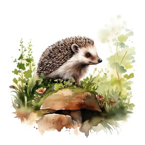 Adesivo Riccio Felice Adesivo Animale Acquerello Cartone Animato Stampa Digitale