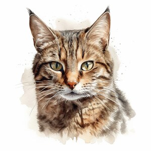 Tabby Cat Sticker Personalizable Outdoor UV-resistant Vinyl Sticker made of High-Quality Film by Orafol Car Sticker Laptop Sticker