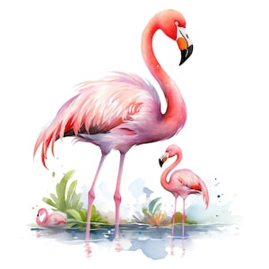 Adesivo Flamingo Adesivo Vinile esterno personalizzabile