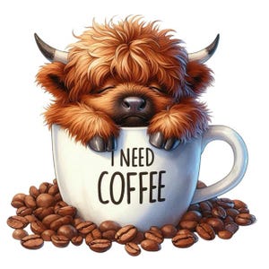 Highland Cow & Coffee Sticker – Cute Highland Cow as a wall sticker and car sticker