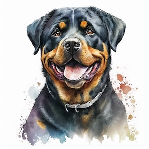 May include: Watercolor portrait of a Rottweiler dog with a happy expression. The dog has black fur with brown markings, a silver collar, and a pink tongue. The background features colorful watercolor splashes.