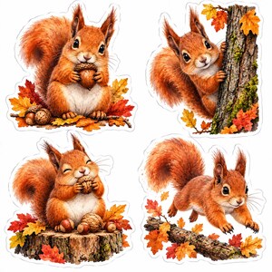 Könnte beinhalten: Ein Set aus vier gestanzten Aufklebern mit Eichhörnchen in herbstlichen Umgebungen. Ein Eichhörnchen hält eine Eichel, eines klettert an einem Baumstamm, eines sitzt mit einer Walnuss auf einem Baumstumpf und eines springt über einen Ast, umgeben von Laub.