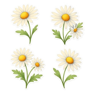 Set di adesivi con margherite, adesivi con fiori, margherite, decorazioni floreali, adesivi con piante, motivo naturale, decorazioni da giardino, adesivi primaverili