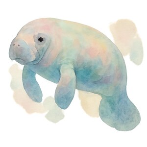 May include: Watercolor illustration of a manatee in shades of blue, pink, and yellow. The aquatic mammal is depicted with a rounded body, flippers, and a tail. The artwork has a soft, ethereal quality, with subtle brushstrokes and a light background.