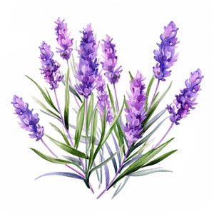2X Lavendel Aquarell Blumen Aufkleber Personalisierbar Outdoor Vinyl Sticker