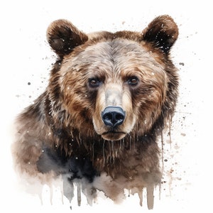 Adesivo orso, adesivo acquerello, motivo realistico di animali selvatici, adesivo da parete, adesivo per auto, decorazione naturalistica, idea regalo per amanti dell'aria aperta e degli animali.