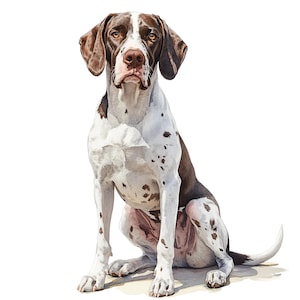 Puede incluir: Ilustración en acuarela de un perro sentado con marcas marrones y blancas. El perro tiene orejas y manchas marrones, con pecho y patas blancas. El perro mira directamente al espectador.