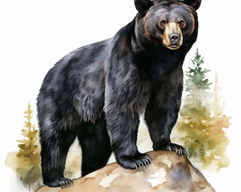 2 adesivi personalizzabili in vinile con orso nero ad acquerello per esterni.