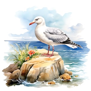 Può includere: Un gabbiano bianco con un becco rosso e zampe rosa appollaiato su uno scoglio vicino al mare. Il gabbiano è rivolto a sinistra e ha le ali ripiegate. Lo scoglio è marrone e ha alcune piccole piante che crescono su di esso. Il mare è blu e ha onde bianche.