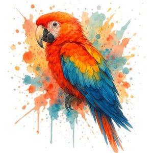 Könnte beinhalten: Aquarell-Illustration eines farbenfrohen Papageis. Das Gefieder ist rot, orange, gelb und blau, vor einem Hintergrund aus bunten Farbspritzern. Der Papagei hat einen schwarzen Schnabel und ein weißes Auge, was einen auffälligen Kontrast erzeugt.