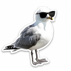 Pegatinas divertidas de gaviotas, pegatinas de pájaros humorísticos, decoración costera, gaviotas de acuarela, pegatinas de pájaros de dibujos animados, regalo de playa, pegatinas de vida marina