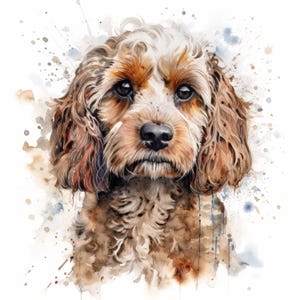 Könnte beinhalten: Aquarellporträt eines Cockapoo-Hundes mit braunem, weißem und hellbraunem Fell. Der Hund hat eine schwarze Nase und dunkle Augen, mit einem sanften Blick. Der Hintergrund zeigt Aquarellfarbspritzer in Braun- und Blautönen.