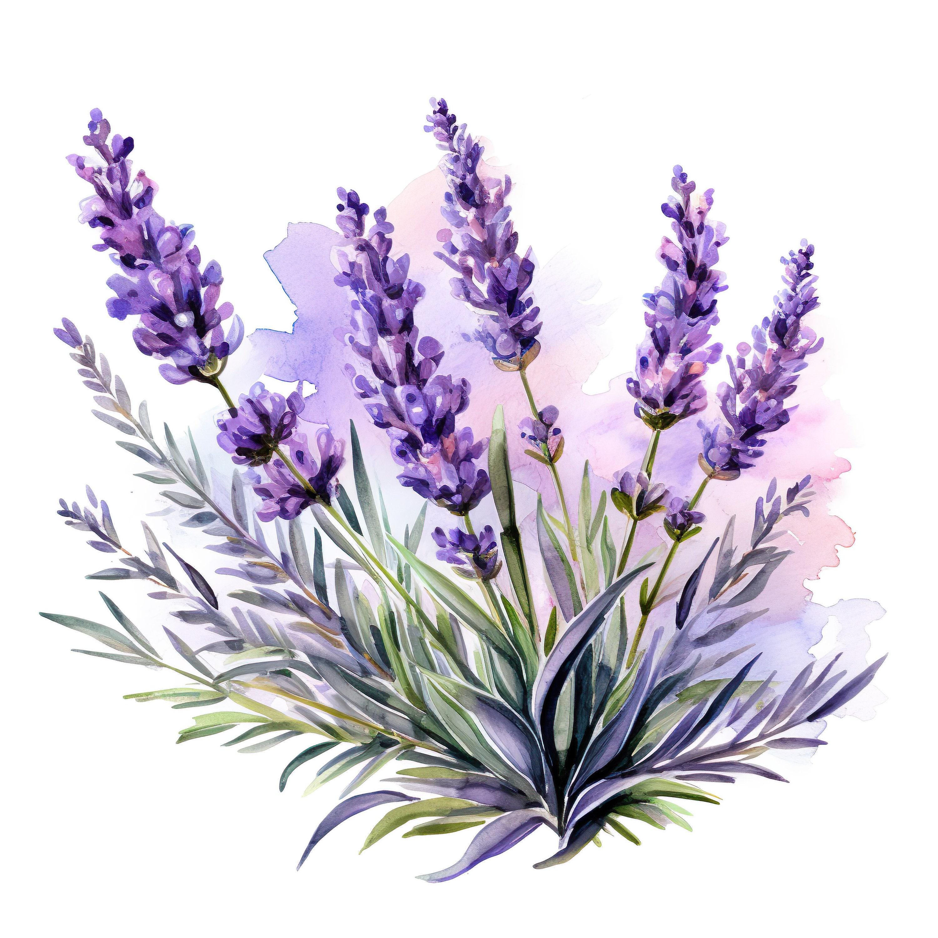 Lavender Sticker Flower Motif Sticker Wall Sticker Car Sticker Provence ...