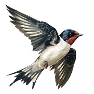 Può includere: Illustrazione digitale di una rondine comune in volo. L'uccello ha testa, dorso e ali neri, gola rossa e ventre bianco. Le ali sono spiegate, mostrando dettagli intricati delle piume.