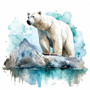 Könnte beinhalten: Aquarellillustration eines Eisbären, der auf einem Eisberg steht. Der Bär ist weiß mit einem hellbraunen Farbton, vor dem Hintergrund blauer und türkisfarbener Aquarellwaschungen. Der Eisberg spiegelt sich im Wasser.
