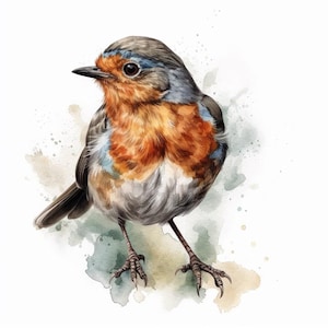 Robin sticker, Christmas bird sticker, winter bird motif, nature sticker, bird illustration, robin decoration, winter decoration