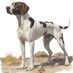 Puede incluir: Ilustración detallada de un perro Pointer, de pie sobre una superficie rocosa. El perro tiene un pelaje blanco con manchas y marcas marrones en la cabeza. El perro mira hacia la izquierda, con una expresión concentrada, y su cola está ligeramente curvada.