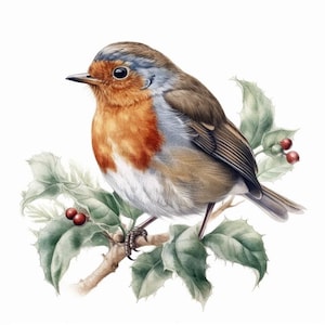 Robin sticker, Christmas bird sticker, winter bird motif, nature sticker, bird illustration, robin decoration, winter decoration
