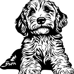 Op de afbeelding: Een zwart-wit illustratie van een pluizige hond, waarschijnlijk een Goldendoodle, in een zittende positie. De hond heeft een rond gezicht, hangende oren en een getextureerde vacht. De afbeelding is een strak grafisch ontwerp.
