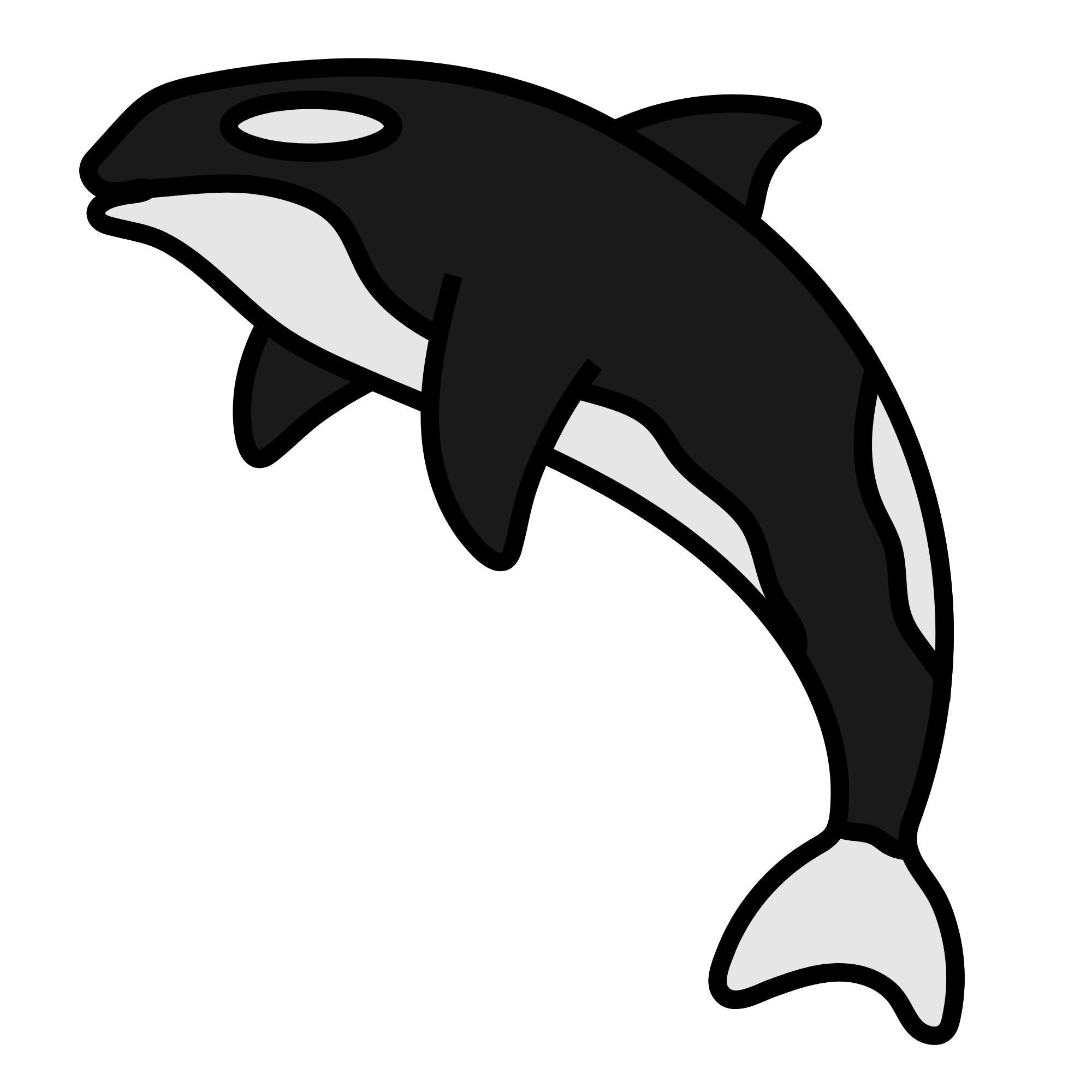 Orca Sticker Cartoon Sticker Killer Whale Motif Wall Sticker Car Sticker Sea Animal Decoration Gift for Children Ocean Fans and Animal Lovers