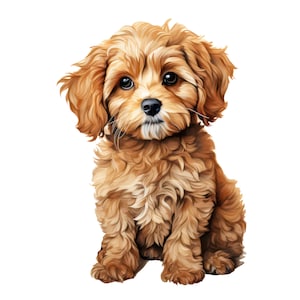 May include: A digitally rendered image of a small, fluffy puppy with light brown fur. The puppy has large, dark eyes, a black nose, and long, delicate whiskers. It is sitting upright, with its front paws together, and has a sweet, innocent expression.