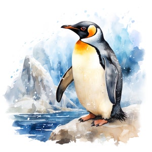 Adesivo in vinile per esterni personalizzabile con decalcomania del simpatico pinguino dell'acquerello