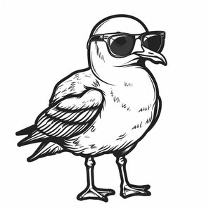 Pegatinas divertidas de gaviotas, pegatinas de pájaros humorísticos, decoración costera, gaviotas de acuarela, pegatinas de pájaros de dibujos animados, regalo de playa, pegatinas de vida marina