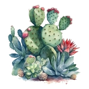 Adesivi per auto con cactus e piante grasse, decorazione per giardino, natura e piante