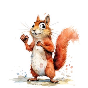 May include: A watercolour illustration of a squirrel with reddish-brown fur and a bushy tail. The squirrel has a white belly and is posed with its fists up. Splashes of blue and orange watercolour paint surround the squirrel.