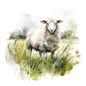 Pode incluir: Ilustração em aquarela de uma ovelha em pé em um campo gramado. A ovelha tem lã branca, orelhas rosadas e uma expressão gentil. O fundo apresenta grama verde, árvores e um céu suave e nublado. A obra de arte tem um toque pastoral e fantasioso.