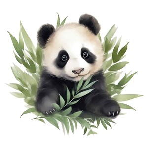 Słodka naklejka z pandą Naklejka na samochód Naklejka na ścianę Baby Panda Motyw zwierzęcy Dekoracja bambusowa Pomysł na prezent z akwarelową pandą Naklejka dla dzieci ze zwierzętami