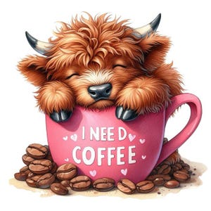 Highland Cow & Coffee Sticker – Cute Highland Cow as a wall sticker and car sticker