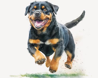 May include: A watercolor painting of a Rottweiler dog in mid-run, captured against a white background. The dog has a black coat with tan markings on its face, chest, and legs. Its mouth is open in a happy expression, and its tail is up.