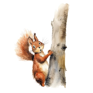 Könnte beinhalten: Aquarellillustration eines neugierigen Eichhörnchens, das sich an einem Baumstamm festhält. Das Eichhörnchen hat rotbraunes Fell, einen buschigen Schwanz und große Augen. Der Baumstamm ist in Grau- und Brauntönen vor weißem Hintergrund gemalt.