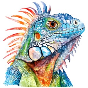 Könnte beinhalten: Aquarell-Illustration eines Leguan-Kopfes. Der Leguan weist eine lebendige Farbpalette mit Blau-, Grün-, Orange- und Rottönen auf. Das Auge ist warmbraun und die Haut hat ein strukturiertes, schuppiges Aussehen. Das Bild ist vor einem weißen Hintergrund.