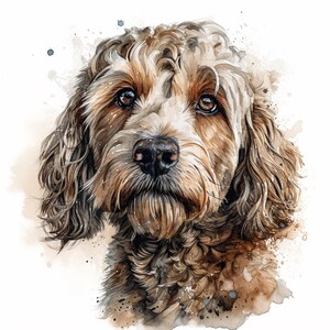 Puede incluir: Pintura a la acuarela de un perro Cockapoo con pelaje marrón y crema. El perro tiene una nariz negra y ojos marrones. La obra de arte presenta pinceladas sueltas y salpicaduras de acuarela, creando un efecto suave y artístico. El pelaje del perro parece esponjoso.