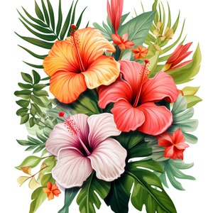 Può includere: Un bouquet di fiori tropicali con fiori di ibisco arancioni, rossi e rosa e foglie verdi.