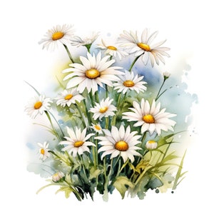 Adesivo margherita, adesivo acquerello con fiore, adesivo da parete, adesivo per auto, decorazione, regalo per gli amanti della natura, romantici e amanti dei fiori.