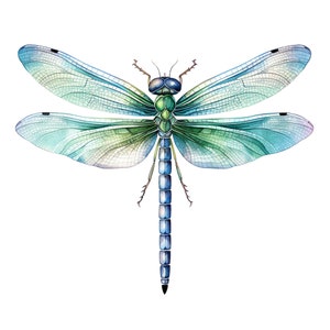 Mooie Dragonfly Sticker Klantgerichte Outdoor Vinyl Sticker