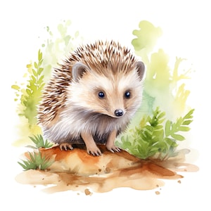 Pegatina de erizo feliz, pegatina de animal de acuarela, linda impresión digital de dibujos animados