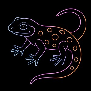 Può includere: Illustrazione stilizzata di una lucertola con contorno nero e sfumatura blu, rosa e arancione. La lucertola ha macchie circolari arancioni sulla schiena, su sfondo nero.