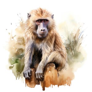 May include: A watercolour painting of a baboon with tan fur and a purple face, seated on a brown tree stump. The baboon has red eyes and is looking directly at the viewer. The background features watercolour washes of green and brown.