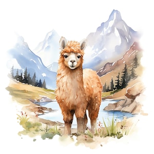 3X Alpaka Sticker Aquarell Aufkleber süßes Tiermotiv Wandtattoo Autoaufkleber Deko Geschenkidee für Kinder Naturfreunde und Bauernhof Fans