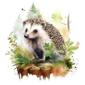 2X Car Sticker Hedgehog Watercolor Sticker Set for Car Motorcycle Laptop Window, Cute Forest Animal Sticker Weatherproof Vinyl Decoration Nature